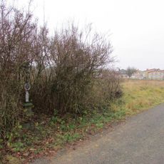 Kříž jižně od Veselé u cesty do Ctiboře