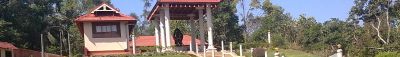 Panoramic View 0