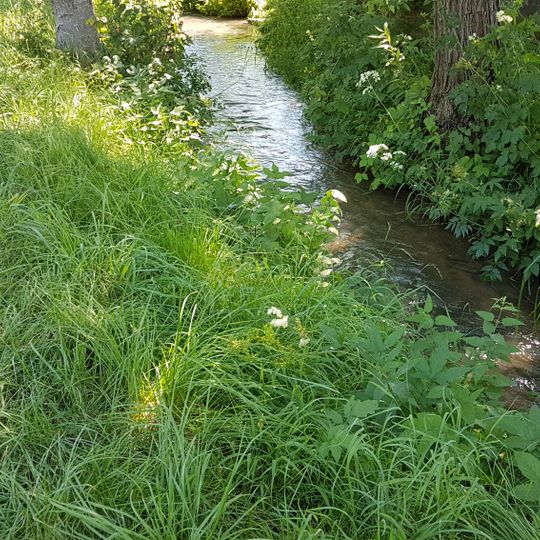 Wasserschutzgebiet Unterschüpf