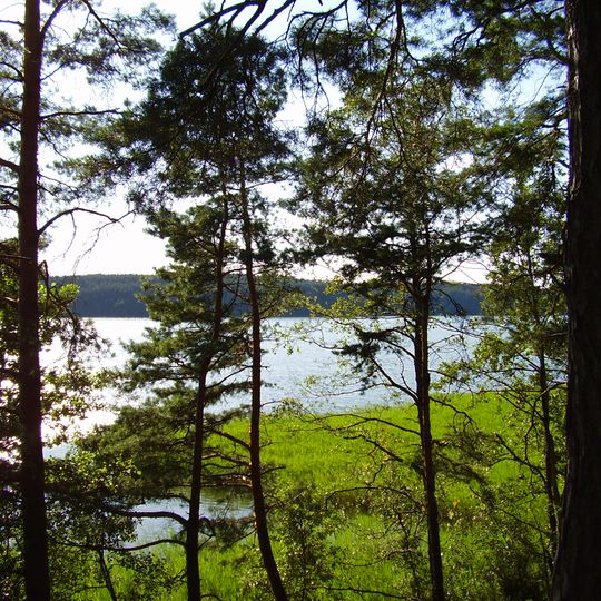 Rezerwat przyrody Jezioro Kośno