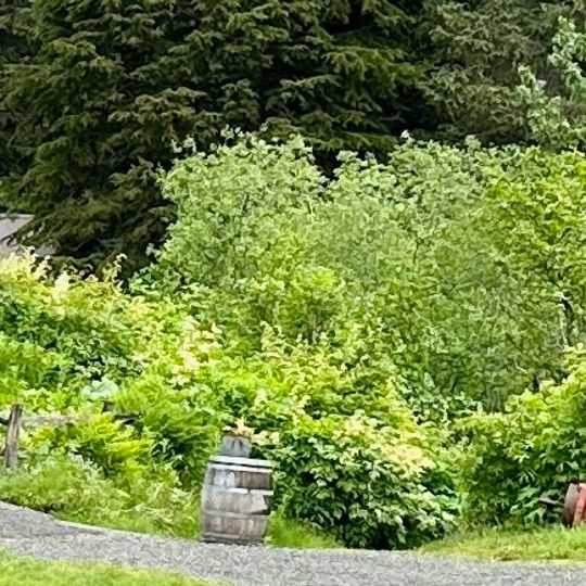 Girdwood
