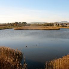 Afon Rhyd Hir