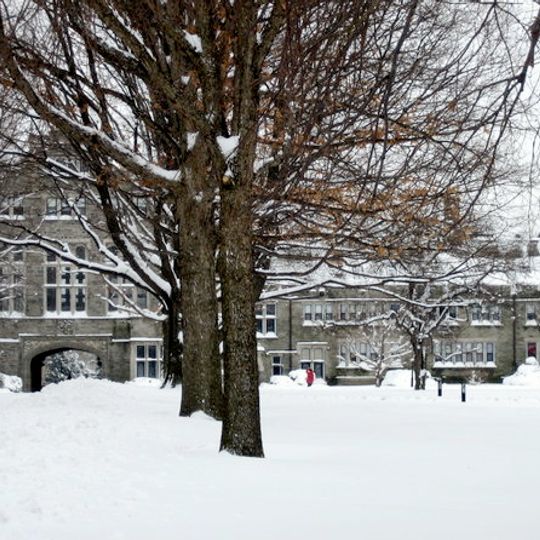 Bryn Mawr