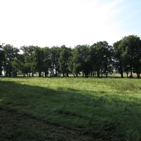 Zespół parku dworskiego