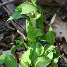 New Canaan Nature Center