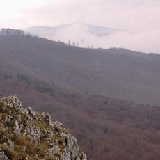 Zeya Nature Reserve