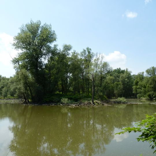 Hraniční meandry Odry