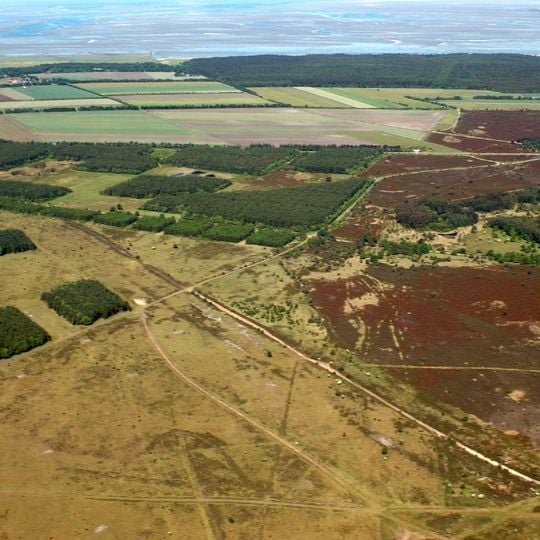 Küstenheiden und Krattwälder bei Cuxhaven