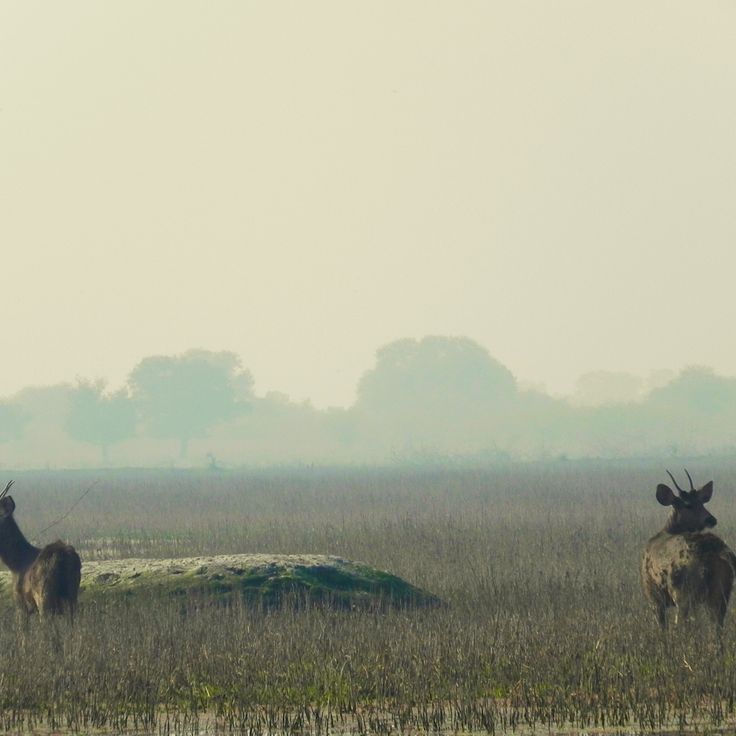 Kevladev National Park