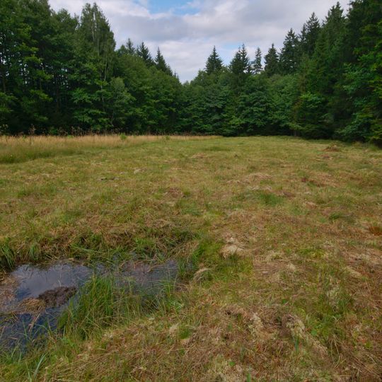 Rašeliniště pod Předním vrchem