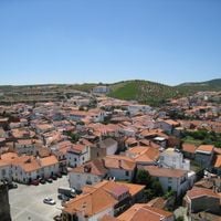 Freixo de Espada à Cinta