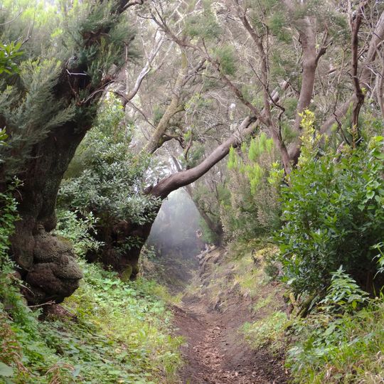 Cumbre Vieja Natural Park