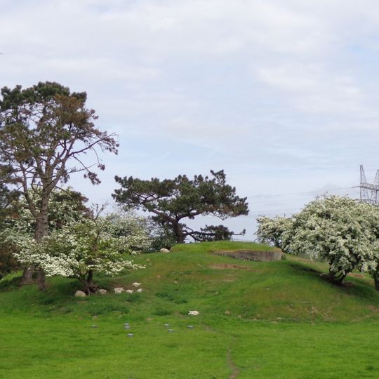 Betonnen werken Uitermeer-Hinderdam te Weesp: V.I.S.-Mitrailleurkazematten