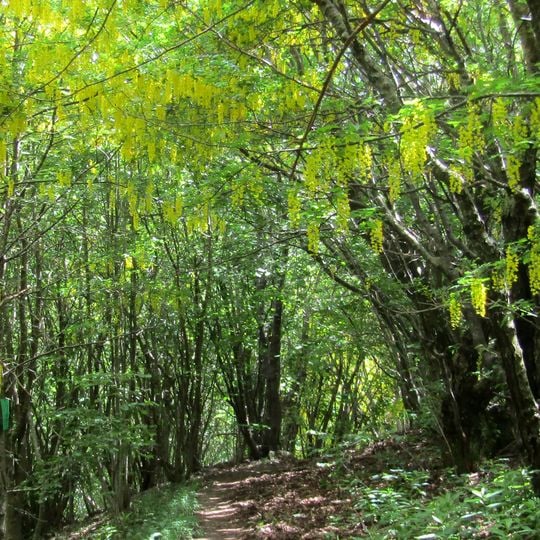 Parco naturale dell'Alta val Borbera
