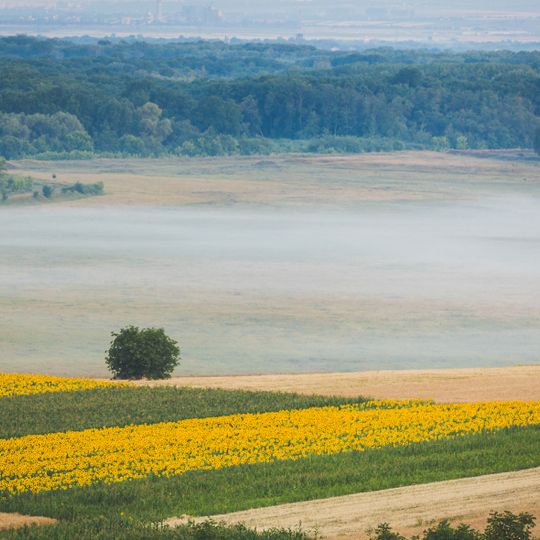 Valea Mare landscape reserve