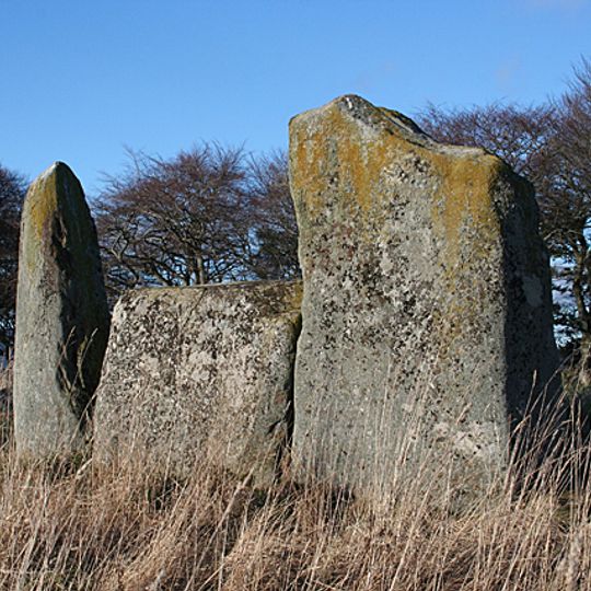 Castle Fraser,stone circle 775m W of & standing stones 550m W of