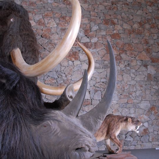 Musée de Préhistoire des Gorges du Verdon