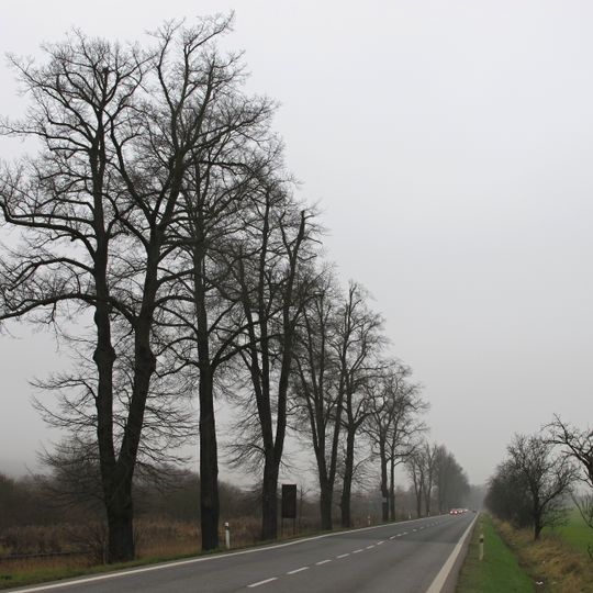 Alej Turnov-Sedmihorky