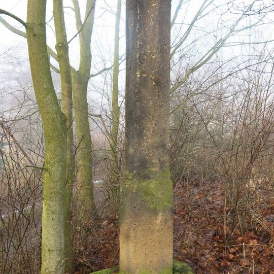 Sloup božích muk na severním okraji Místa