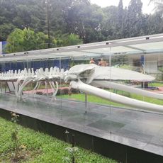 Samudrika Naval Marine Museum