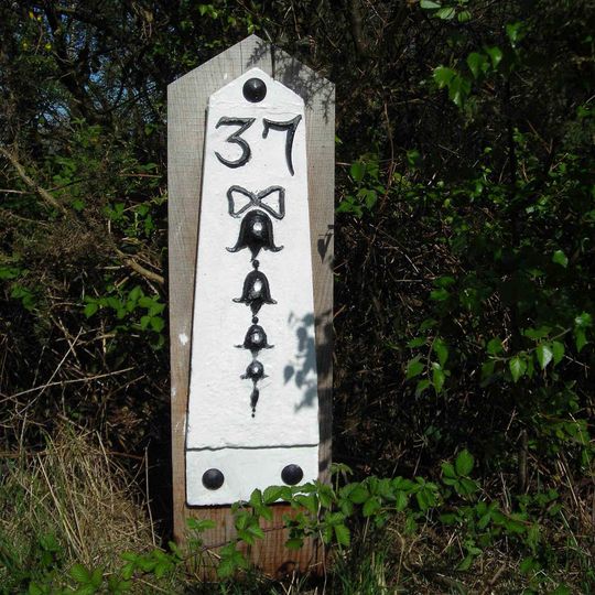 Milepost, High straight Millbrook Hill in Ashdown Forest
