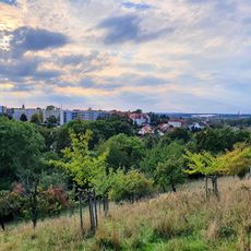 Scattered fruit meadow near Kloster Posa