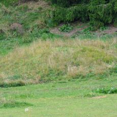 Hügelgräber Obervellach