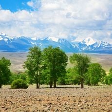 Montanhas Douradas do Altai