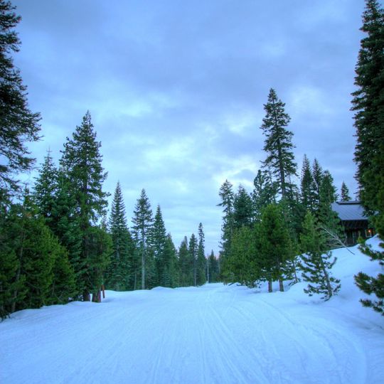 Bear Valley
