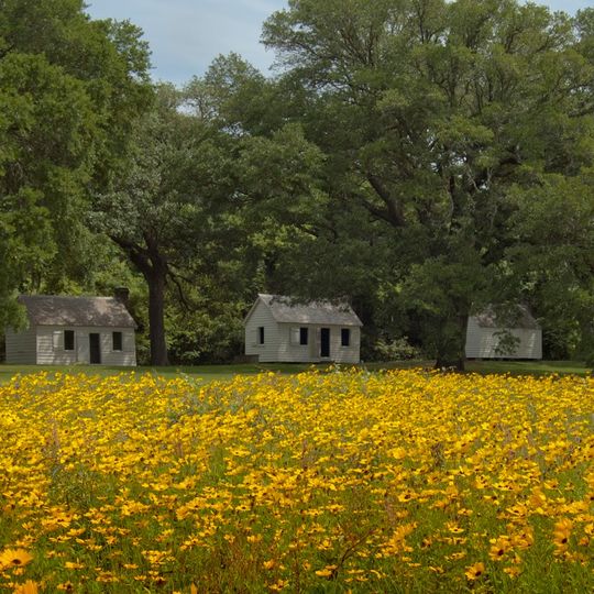 McLeod Plantation Historic Site