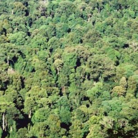 Toonumbar National Park