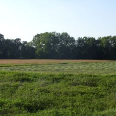 Pennigbütteler Moor