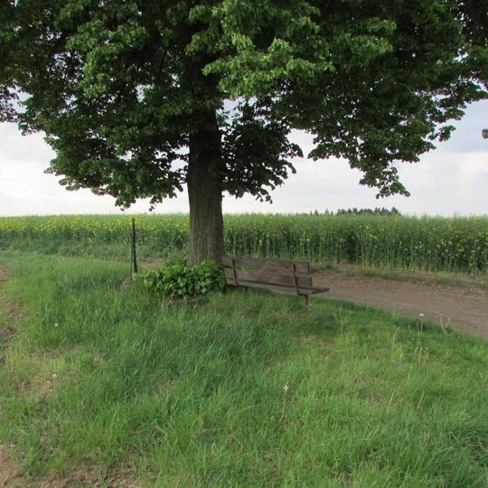 Kříž západně od Čížkova