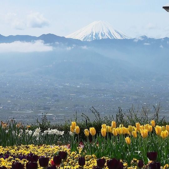 Yamanashi Fuefukigawa Fruit Park