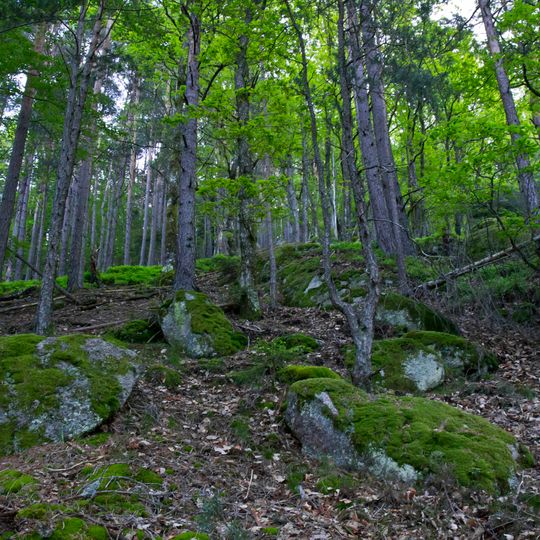 Mittlerer Schwarzwald bei Hornberg und Schramberg