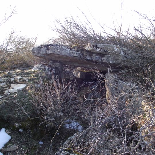 Site mégalithique du plateau de Poujoulet
