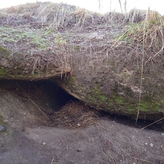 Berki-pusztai No 5 Cavity