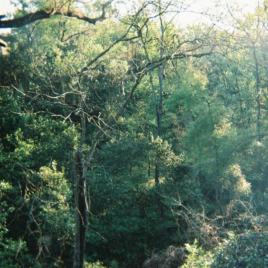 Ravine Gardens State Park