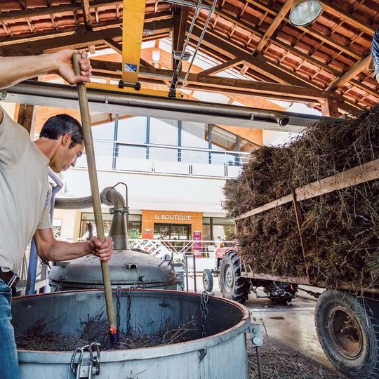 Distillerie Bleu Provence