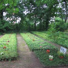 Alter Friedhof