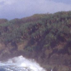 Ujung Kulon