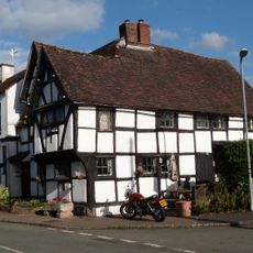 The Old Chestnut Tree