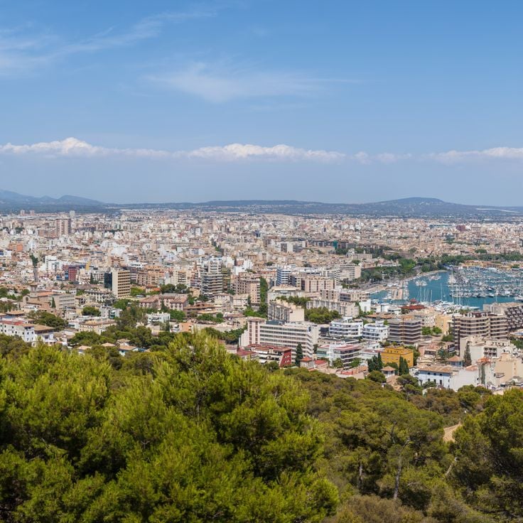 Palma di Maiorca