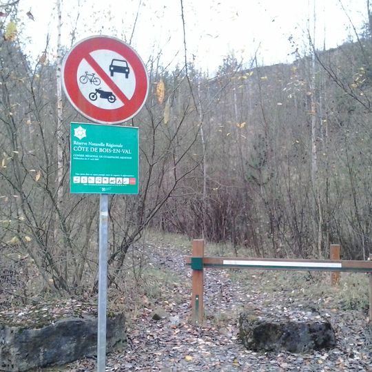 Côte De Bois-En-Val