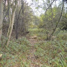 Upware South Pit