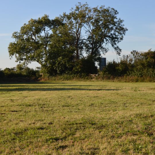 Hemingford Grey Meadow