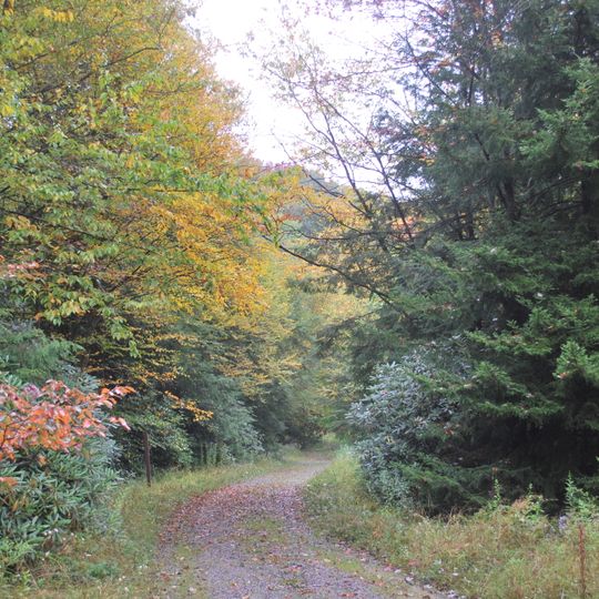 Otter Creek Wilderness