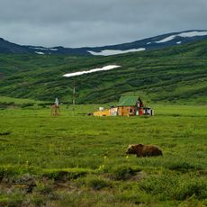Kamchatka-Kurile meadows and sparse forests