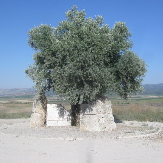 From Fragments to Hope Memorial