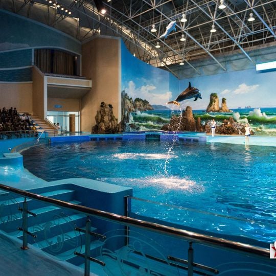 Delphinarium de Rungna